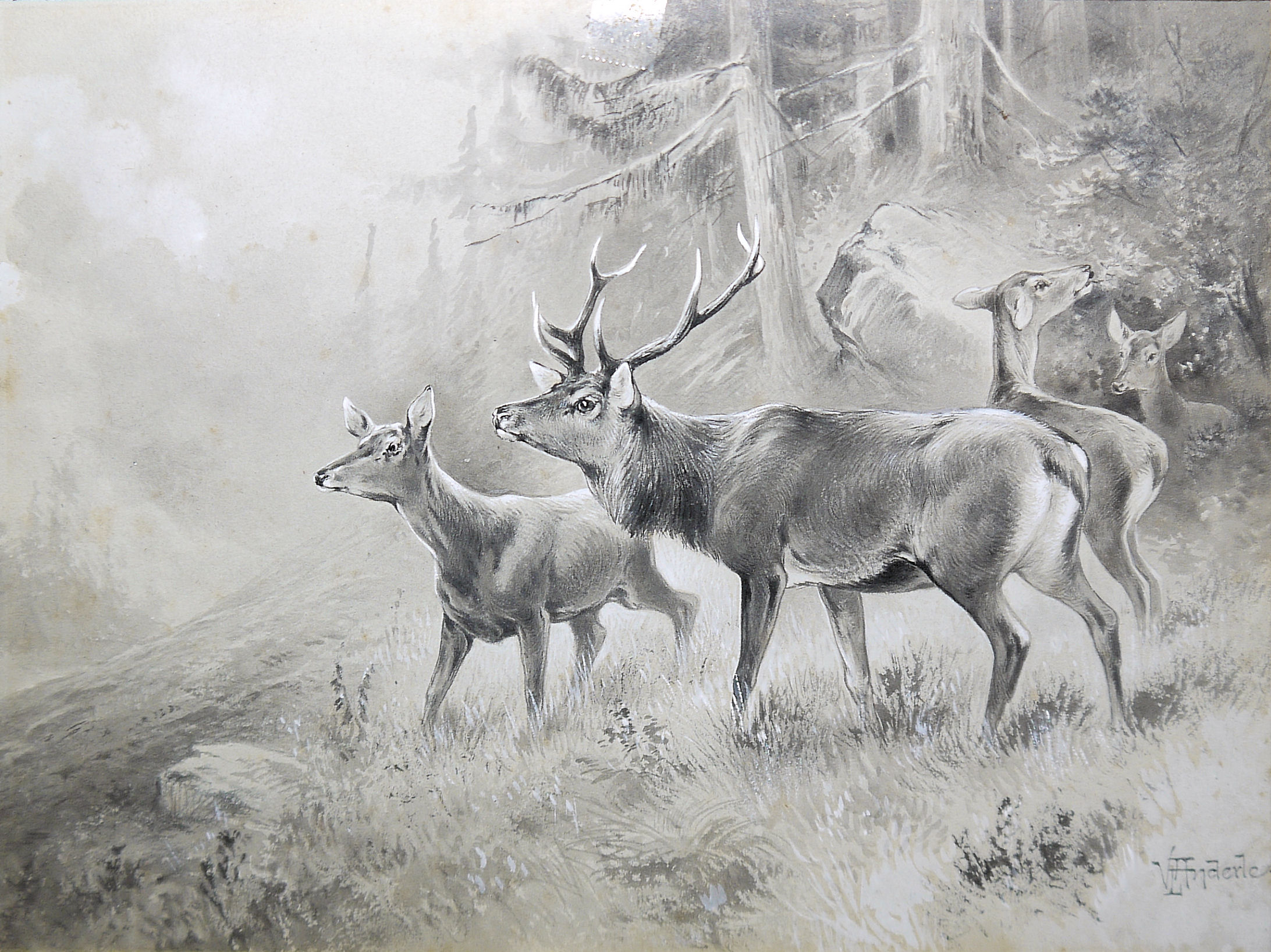 0439-Václav Anderle, Wildscheine & Rotwild, zwei lavierte Tuschezeichnungen, alt gerahmt & Wildschwein- Tischklingel sowie Schrotflinte en miniature des 19. Jhs., beide aus Bronze - Image 7