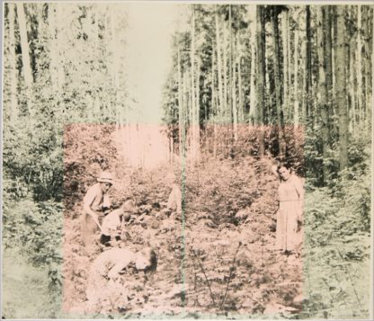 0133Vladimir Kupriyanov, “Für Schostakowitsch Nr.3” , Fotographie vor