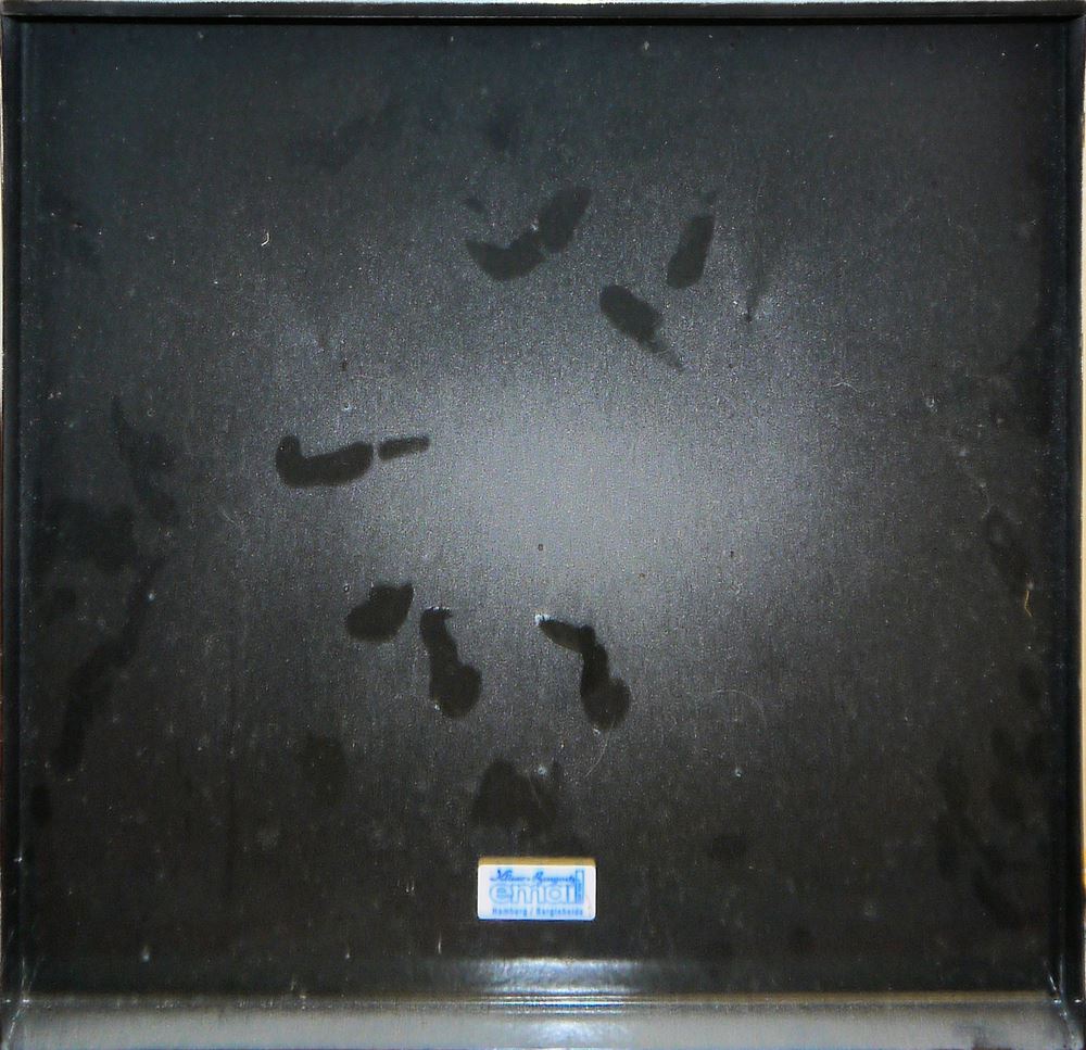0009-Otmar Alt, "Gesicht zeigen", Emailschild - Image 2