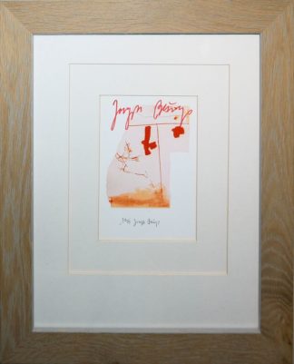 0028-Joseph Beuys, "Vogel", signiertes Farboffset, gerahmt