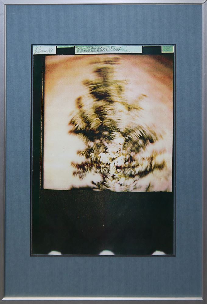 0030-Anna und Bernhard Blume, "Frohes Fest", dreiteilige Sequenz von 1981, 3 x Laserdruck, gerahmt - Image 3