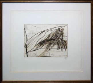0224-Horst Janssen, Mannheim, signierte Farbradierung von 1976, gerahmt