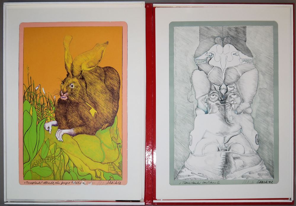 0441-Wolfgang Schlick, Transplants, 9 Zinklithographien in Kassette, Draier-Verlag, 1972 – Bild 3