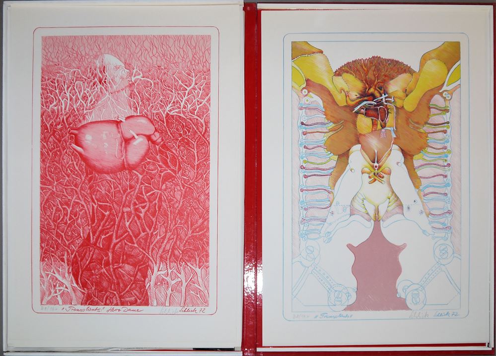 0441-Wolfgang Schlick, Transplants, 9 Zinklithographien in Kassette, Draier-Verlag, 1972 – Bild 5