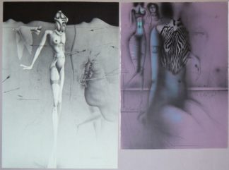 0519-Paul Wunderlich, Zebrabluse & Penthesilea II, 2 signierte Farblithographien von 1969/78