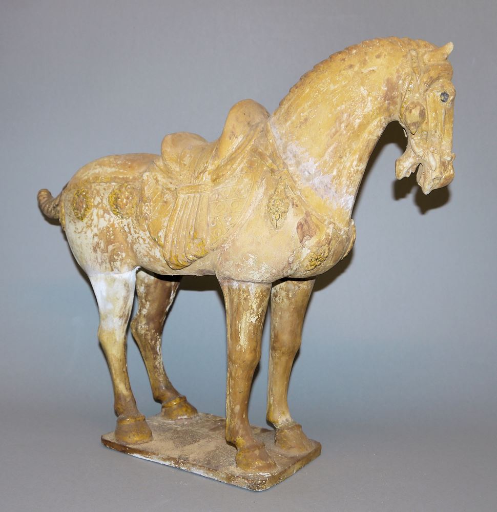 0609-Ein gesatteltes Terracotta-Pferd der Tang-Dynastie, China 7.-9. Jh. – Bild 6