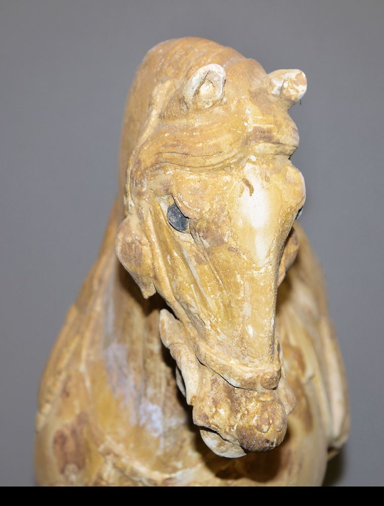 0609-Ein gesatteltes Terracotta-Pferd der Tang-Dynastie, China 7.-9. Jh. – Bild 8