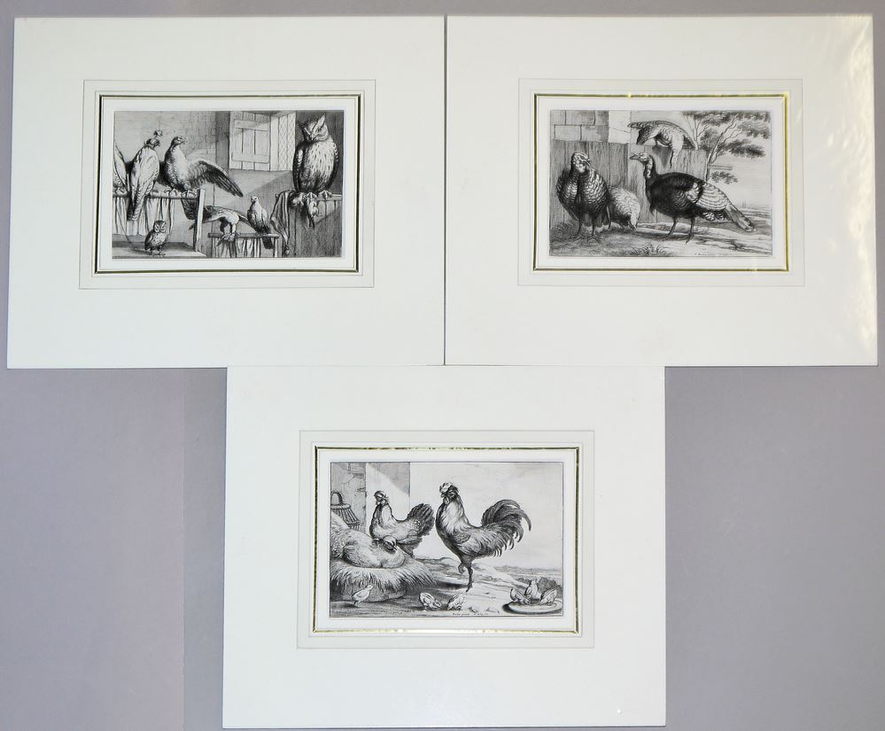 0706-Wenzel Hollar, 14 Kupferstiche & M.V. Kratochvil, Wenzel Hollar- Reisebilder, 1966 – Bild 5