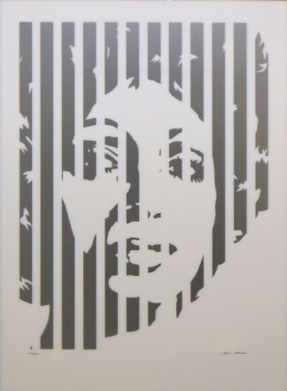 0044-Werner Berges, "Gourmet de Funk" (Silver), Siebdruck auf Plexiglas von 2002
