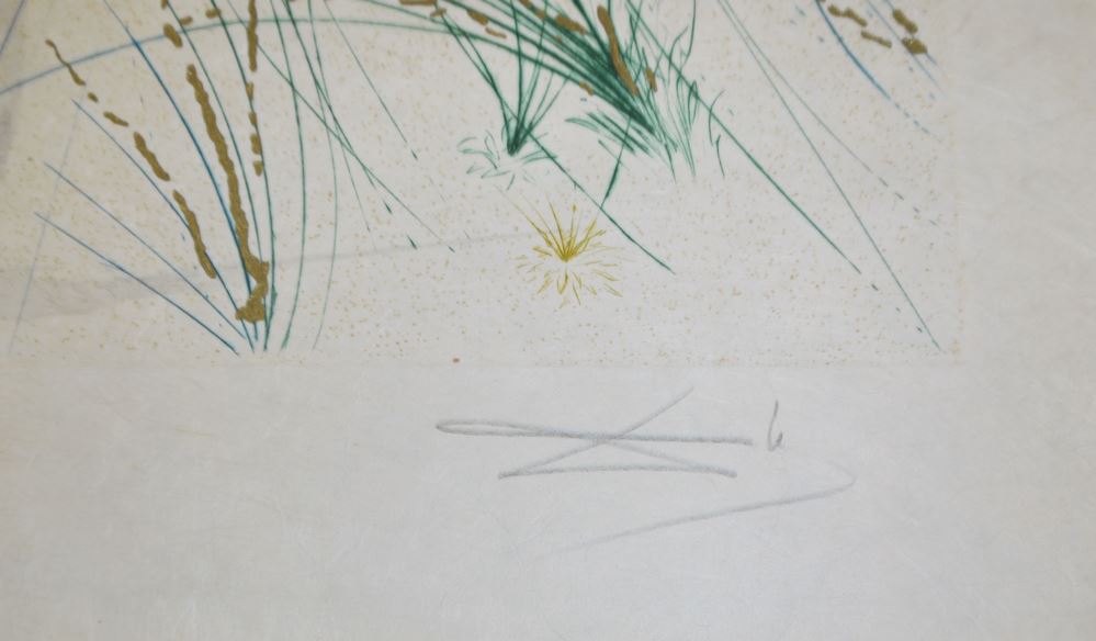 0086-Salvador Dalí, 2 signierte Farbradierungen mit Pochoir und Goldauflage aus: "Das Hohe Lied des Salomon" 1971 - Image 3