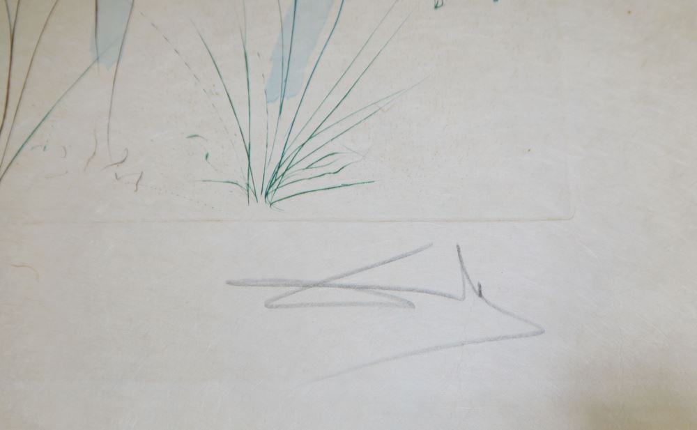 0086-Salvador Dalí, 2 signierte Farbradierungen mit Pochoir und Goldauflage aus: "Das Hohe Lied des Salomon" 1971 - Image 4