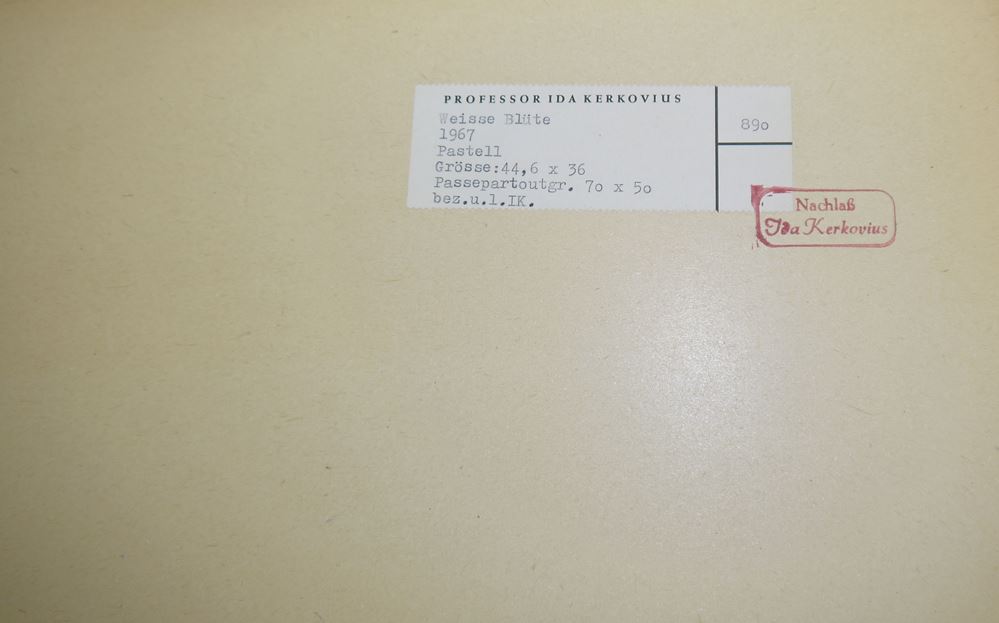 0227-Ida Kerkovius, "Weiße Blüte", sign. Pastell von 1967 mit Werk-Nr. 890 & WVZ-Nr. 2433N – Bild 3
