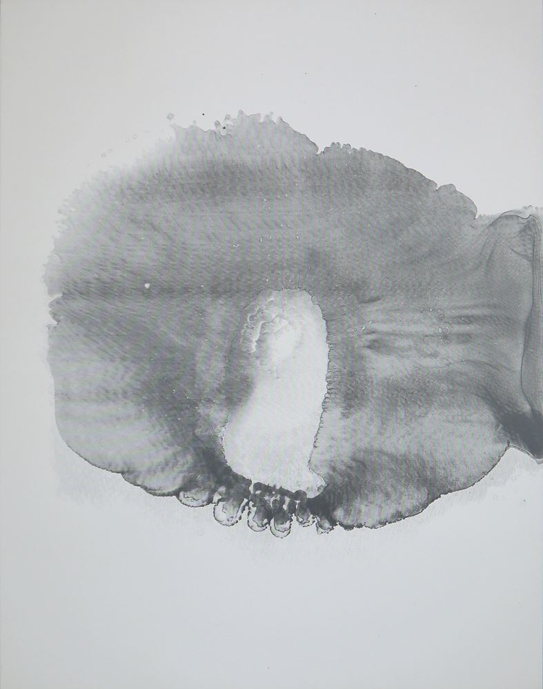0359-Otto Piene, Feuerflora, 3 Farbserigraphien von 1971 – Bild 3