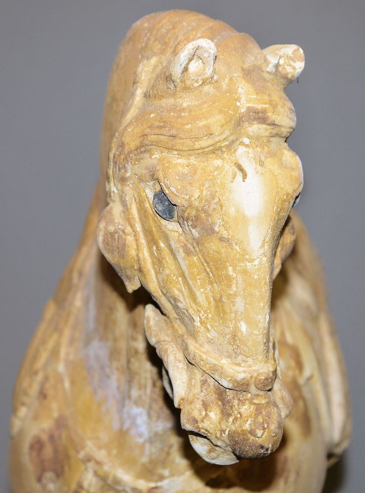 0543-Ein gesatteltes Terracotta-Pferd der Tang-Dynastie, China 7.-9. Jh. – Bild 7